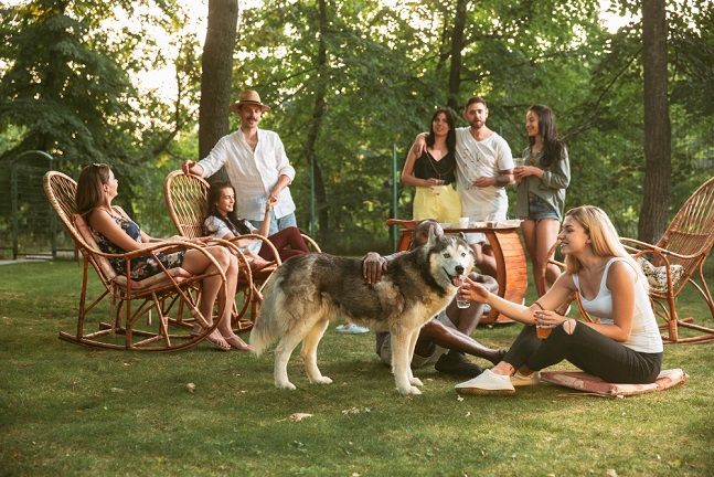 Chez Aurelia - Reunion de famille 